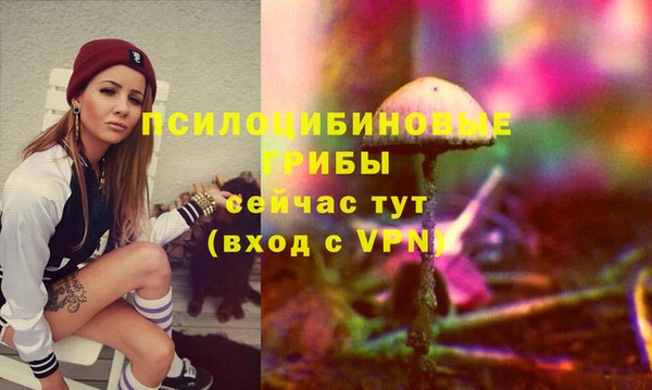 кокс Алексеевка
