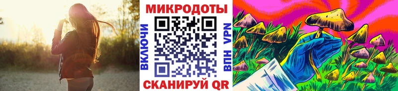 KRAKEN вход  Андреаполь  Галлюциногенные грибы Magic Shrooms 